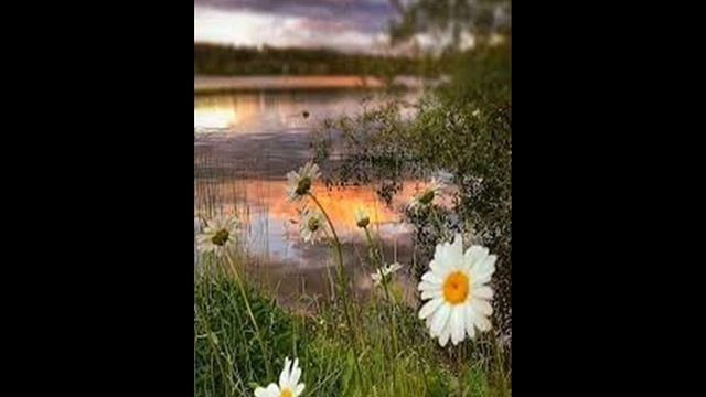 ВАСИЛЬКОВОЕ ОЗЕРО, песня на стихи Ольги Бельзер, исп. Д.Аникеев смотреть онлайн