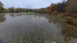 Бабаевский пруд