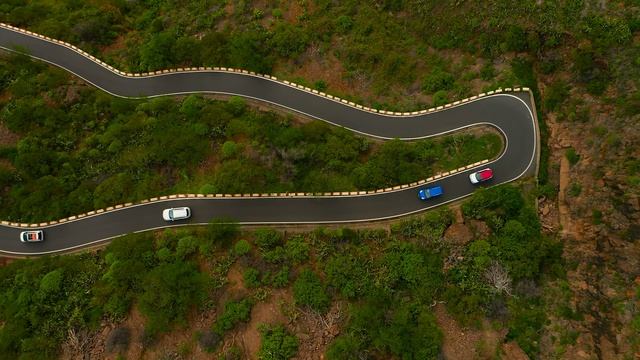 Дикая природа 4К 8К Full HD смотреть онлайн