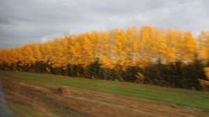 6. по дороге в Свияжск