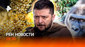 Зеленский без "Томагавков" / "Золотой" экс-премьер Грузии / Горилл забыли в зоопарке / ГЛАВНОЕ