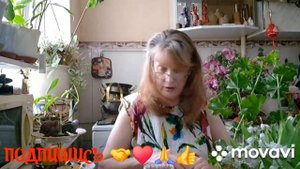 1000012135.mp4. 🖋️🚀 БЫВАЮТ В ЖИЗНИ ВСТРЕЧИ,ПЕРЕПИТИЯ СУДЬБЫ 💃🔥МОИ БУДНИ 🖋️🚀