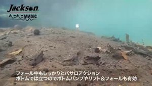 JACKSON HEKO HEKO MAGIC