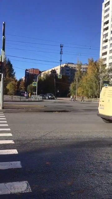 Санкт-Петербург. 17.10.2025. Приятный солнечный день. Золото осени на проспекте Энгельса. Эпизод 3