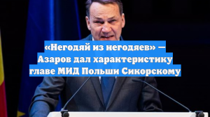 «Негодяй из негодяев» — Азаров дал характеристику главе МИД Польши Сикорскому