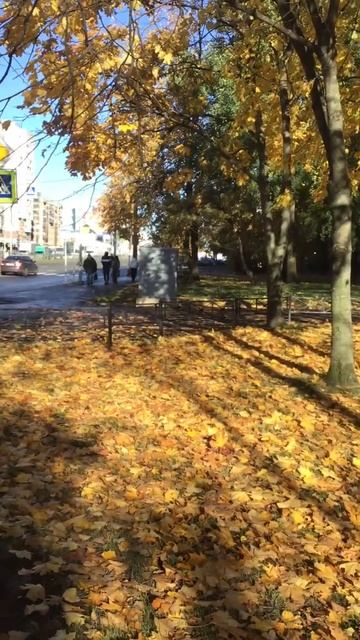 Санкт-Петербург. 17.10.2025. Приятный солнечный день. Золото осени на проспекте Энгельса. Эпизод 5