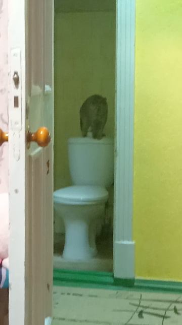 Меня спалили 😂😂😂 смотреть онлайн