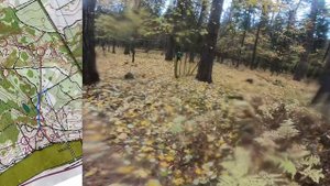 Лонг, Масстарт Чемпионат Республики (Headcam orienteering №99)