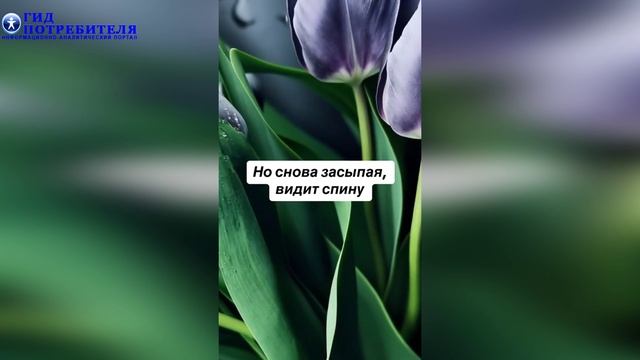 Лирическое стихотворение Ты к ней привык она тебя любила