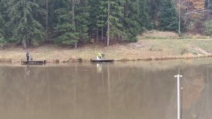 Forest Fishing 18.10.25