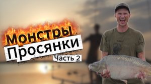 "Монстры Просянки". Часть 2. Карпфишинг