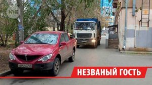 Мусоровозы в Иркутске не могут вывезти отходы из-за плотной парковки во дворах