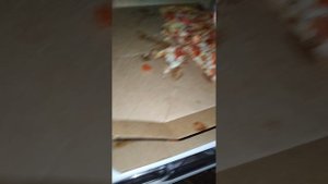 ЧТО В МОЁМ ХОЛОДИЛЬНИКЕ