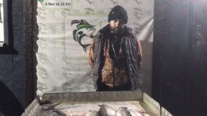 улов на малом водоёме