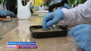 В школах Карачаево-Черкесии растет число агроклассов