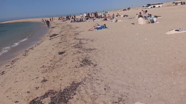 ЕГИПЕТ-2025-ШАРМ. #33 - ЗАПОВЕДНИК РАС-МОХАММЕД (Ras Mohammed). БОЛЬШОЙ ОБЗОР. ЭКСКУРСИЯ. ДЕНЬ 8