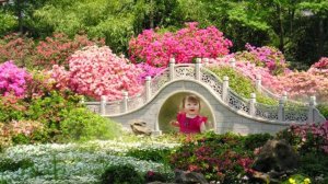 Лучшие парки мира