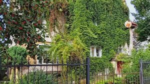 КАЛИНИНГРАД  сентябрь-2025