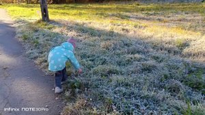 Балетная школа. Занятия в выходные. Акции МММ