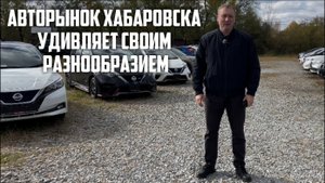 АВТОРЫНОК ХАБАРОВСКА В ОКТЯБРЕ 2025 ГОДА.