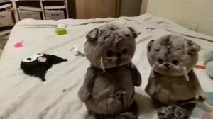 lv_0_20251017194249.mp4