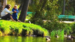 Осень в городском лесопарке