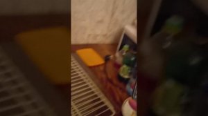 Я В ГОСТЯХ У ЛАРИСЫ!!!