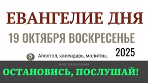 19 октября воскресенье Евангелие дня 2025 с толкованием #евангелие