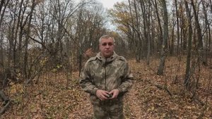 Осенние грибы опята! Прогулка по дубовому лесу (дубраве)!