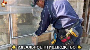 Идеальное птицеводство достойно восхищения 🐓🦆🦢🦚🦃🐔 эпизод (373)