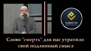 Слово «смерть» для нас утратило свой подлинный смысл | Шейх Раслян