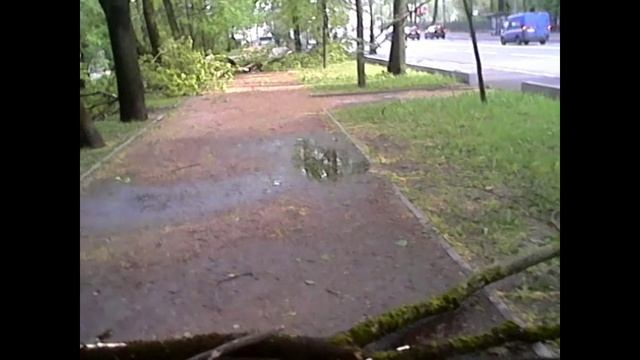 Поваленные ветром деревья на Каменноостровском проспекте в С-Пб смотреть онлайн