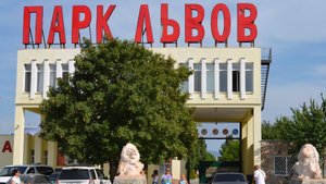 Тайган- парк львов!!!!