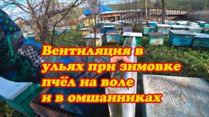 С КАКОЙ ВЕНТИЛЯЦИЕЙ В УЛЬЯХ, БУДУТ ЗИМОВАТЬ МОИ ПЧЁЛЫ НА ВОЛЕ И В ЗИМОВНИКАХ.
