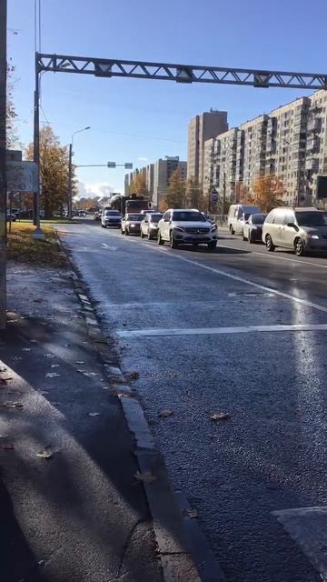 Санкт-Петербург. 17.10.2025. Приятный солнечный день. Золото осени на проспекте Энгельса. Эпизод 2