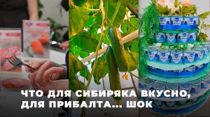 Омск, в котором вкусно и зелено
