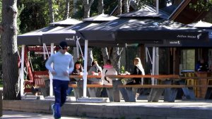 Сосновый Бор - город-эдем, любовь моя