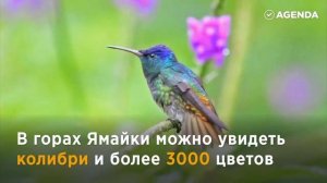 5 самых красивых островов для путешествий...с хороший музыкой!
