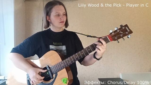 DEMO Трансакустический звукосниматель X2 DOUBLE GO