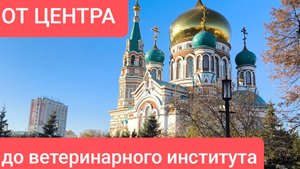 ОМСК ОТ ЦЕНТРА ДО ВЕТЕРИНАРНОГО ИНСТИТУТА