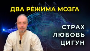 Мозг, страх и цигун: как управлять своей судьбой