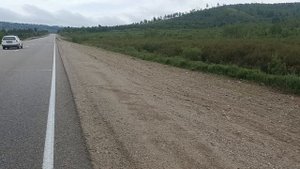 медведи нападают на водителей на трассе