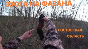 Охота на фазана...взлетают из-под ног...стреляю на вскидку!!!