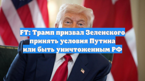FT: Трамп призвал Зеленского принять условия Путина или быть уничтоженным РФ