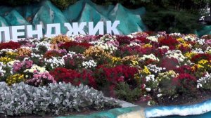 И в октябре 2025 туристы с удовольствием посещают Геленджик