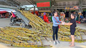 Use 3-Wheeled Truck To Harvesting Many Sugarcane Go To Countryside Market Sell | Free Bushcraft