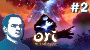 #2 Ori and the Blind Forest