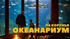 ОКЕАНАРИУМ В ГОРОДЕ ЛА КОРУНЬЯ  | ГАЛИСИЯ | ИСПАНИЯ | AQUARIUM FINISTERRAE