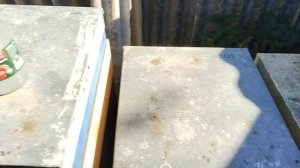 Кавказянка и Украинская степная, собраны в зиму. Результат рабты бипином.