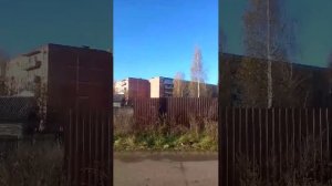 Всем отличного дня ! С вами ваша Алёнка , гуляю с Зевсом